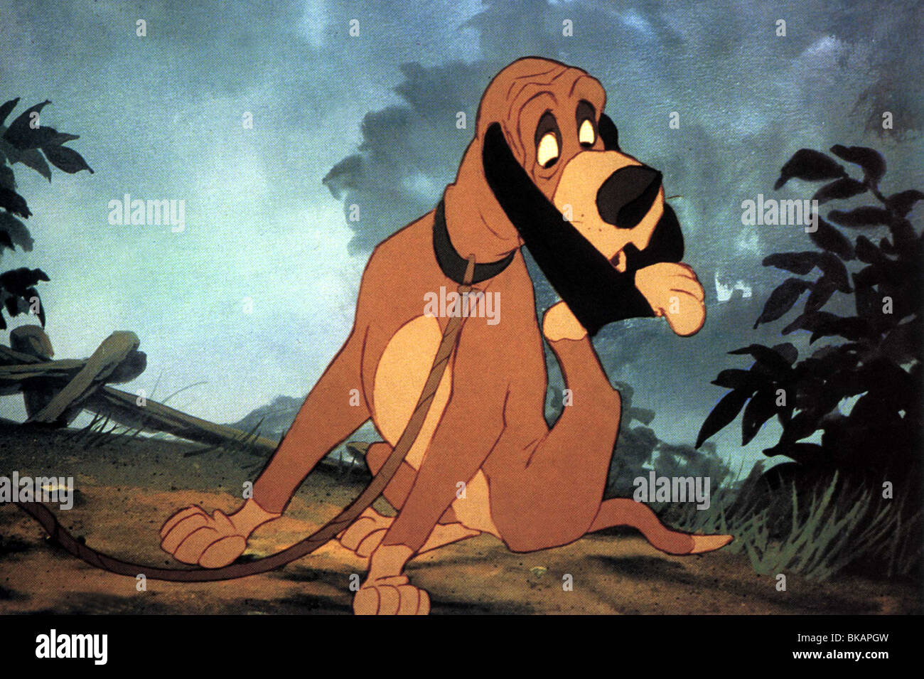 The fox and the hound disney hi-res stock photography and images - Alamy