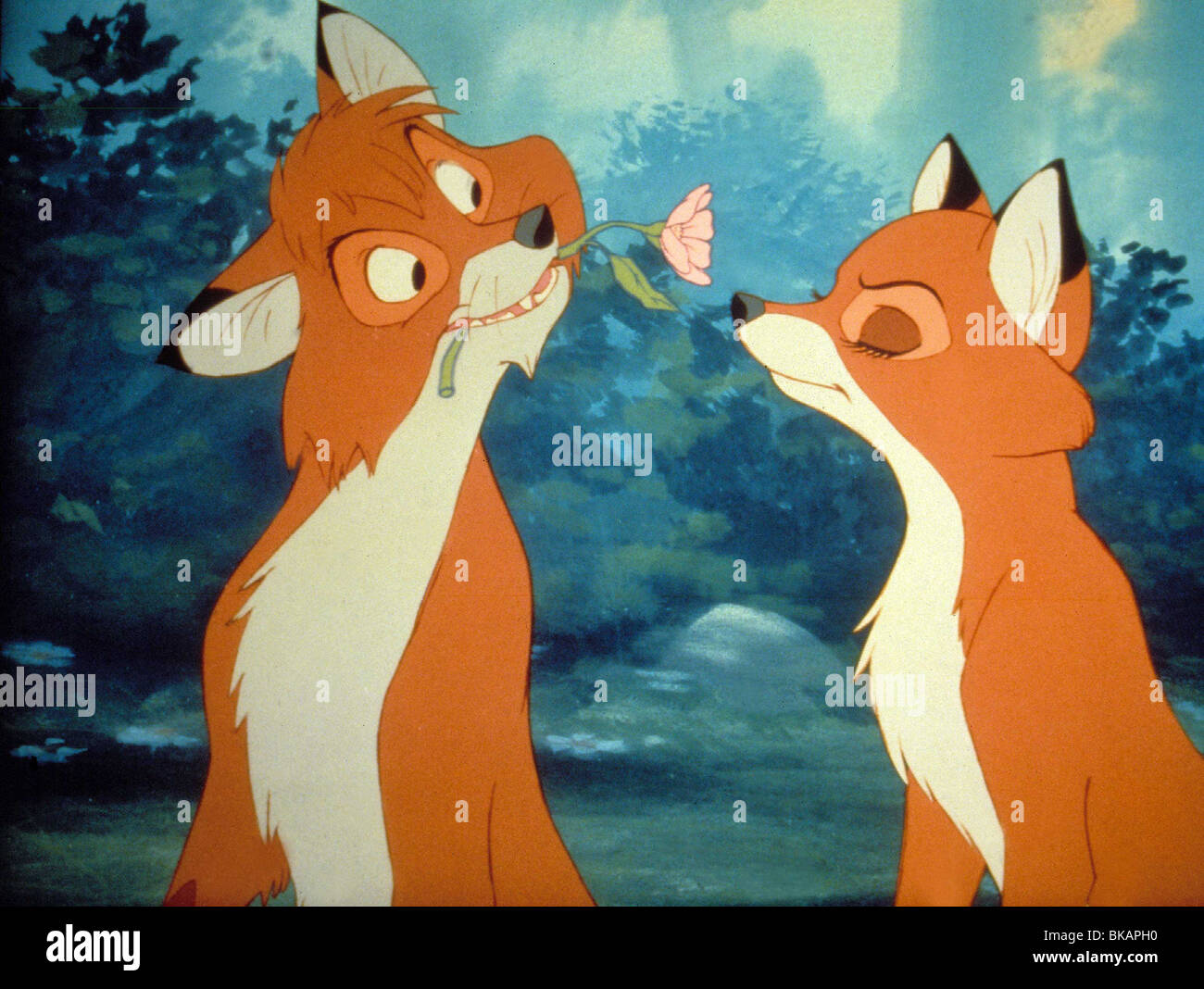 THE FOX AND THE HOUND (ANI - 1981) ANIMATED CREDIT DISNEY FATH 010 MOVIESTORE COLLECTION LTD Stock Photo