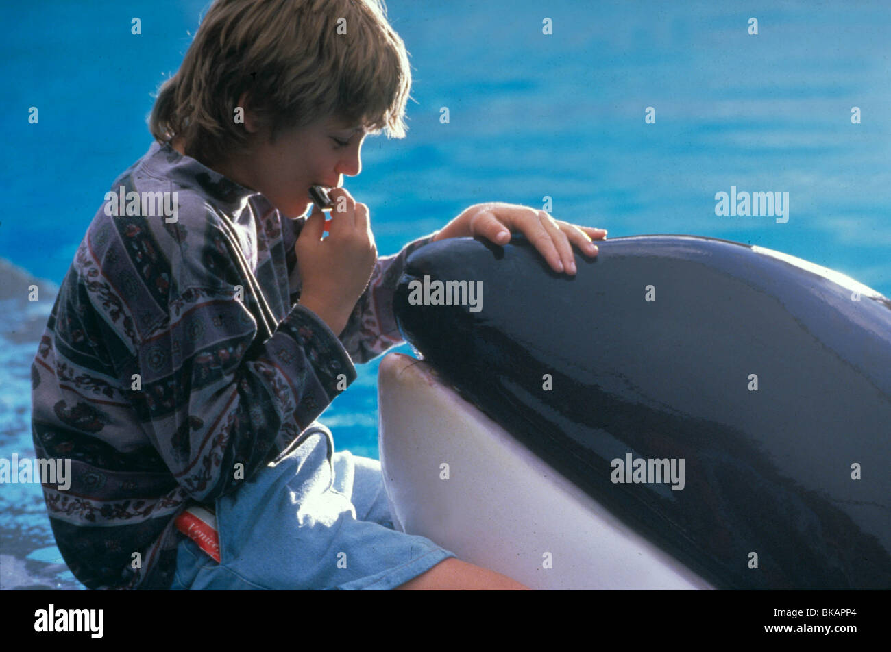 FREE WILLY (1993) JASON JAMES RICHTER FWLY 001 MOVIESTORE COLLECTION LTD Stock Photo