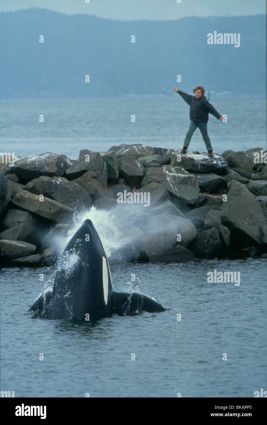 FREE WILLY (1993) JASON JAMES RICHTER FWLY 004 MOVIESTORE COLLECTION LTD Stock Photo
