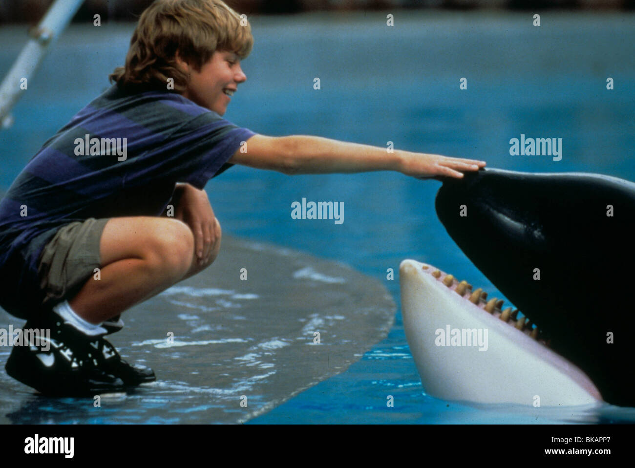 FREE WILLY (1993) JASON JAMES RICHTER FWLY 015 MOVIESTORE COLLECTION LTD Stock Photo