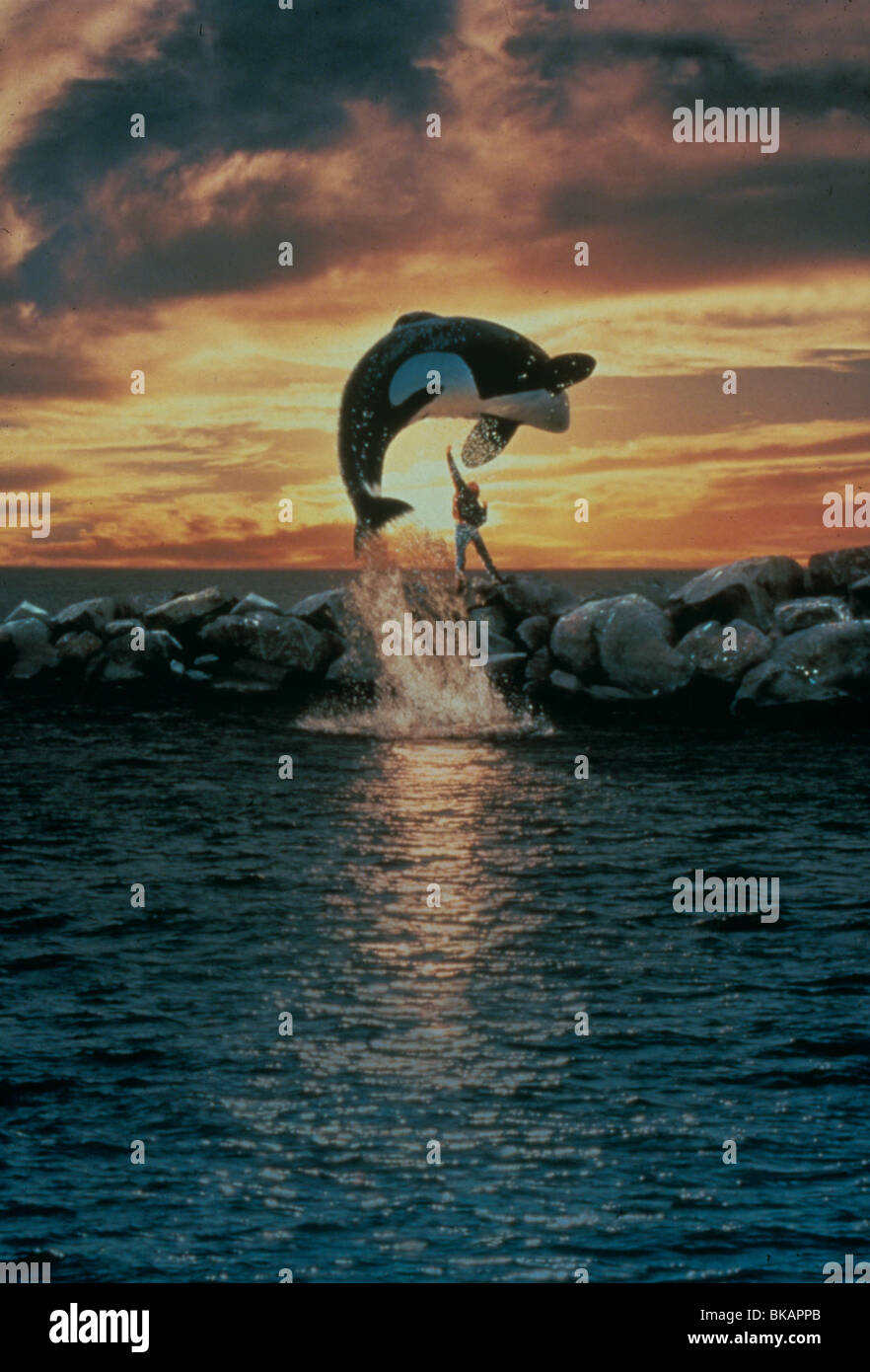 FREE WILLY (1993) JASON JAMES RICHTER FWLY 041 MOVIESTORE COLLECTION LTD Stock Photo