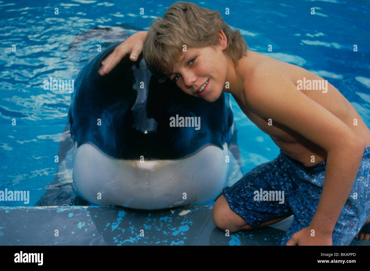 FREE WILLY (1993) JASON JAMES RICHTER FWLY 054 MOVIESTORE COLLECTION LTD Stock Photo