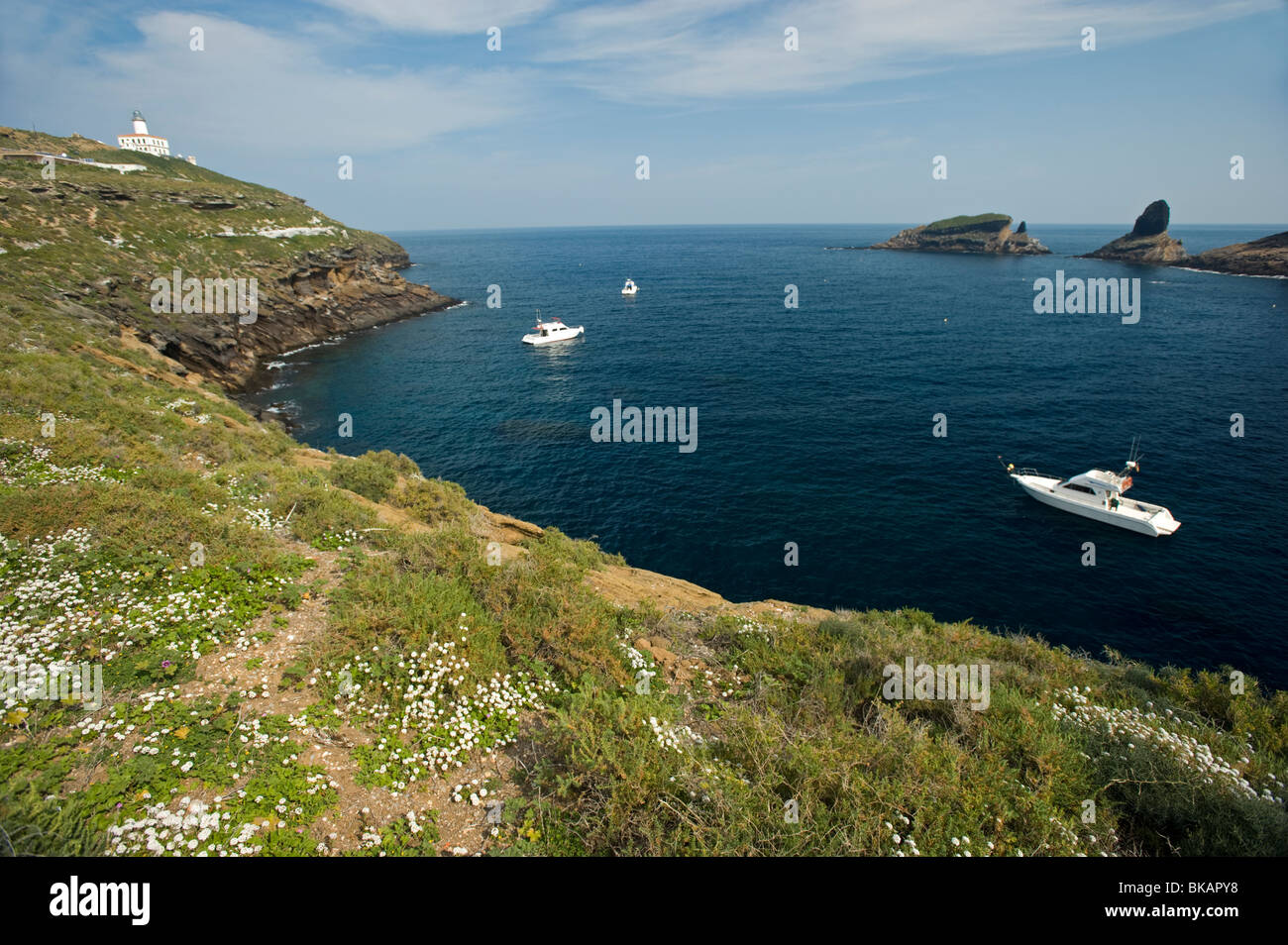 Columbretes Island Marine Protected Area, Spain Stock Photo