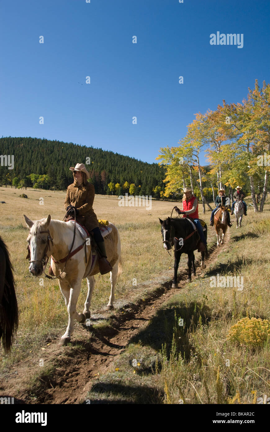 Family group outdoors riding horses in Rocky Mountain National Park