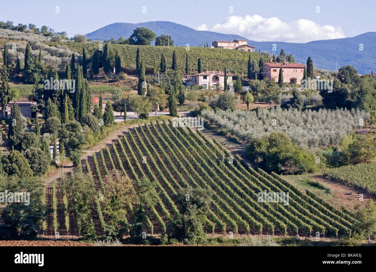 Tuscany landscape, Italy Stock Photo