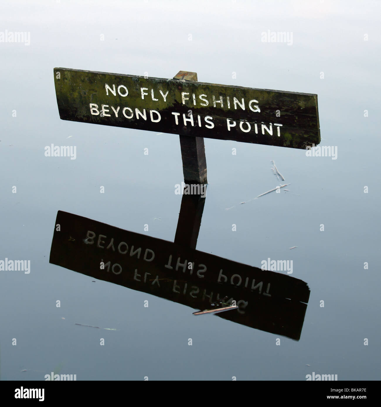 Sign saying "No Fly Fishing Beyond This Point" at Hillsborough Lake in