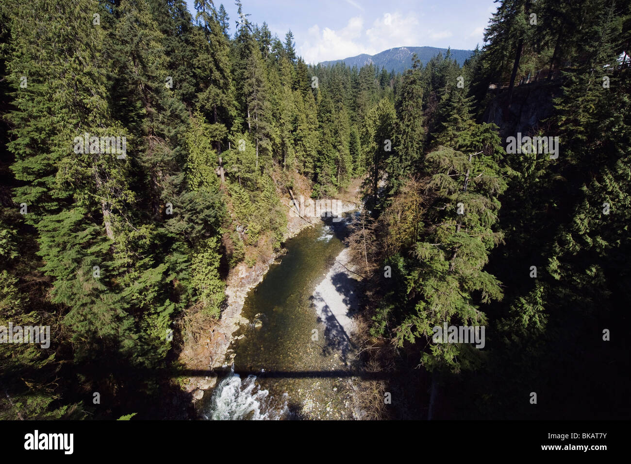 Capilano Suspension Bridge and Park Vancouver British Columbia Canada Stock Photo