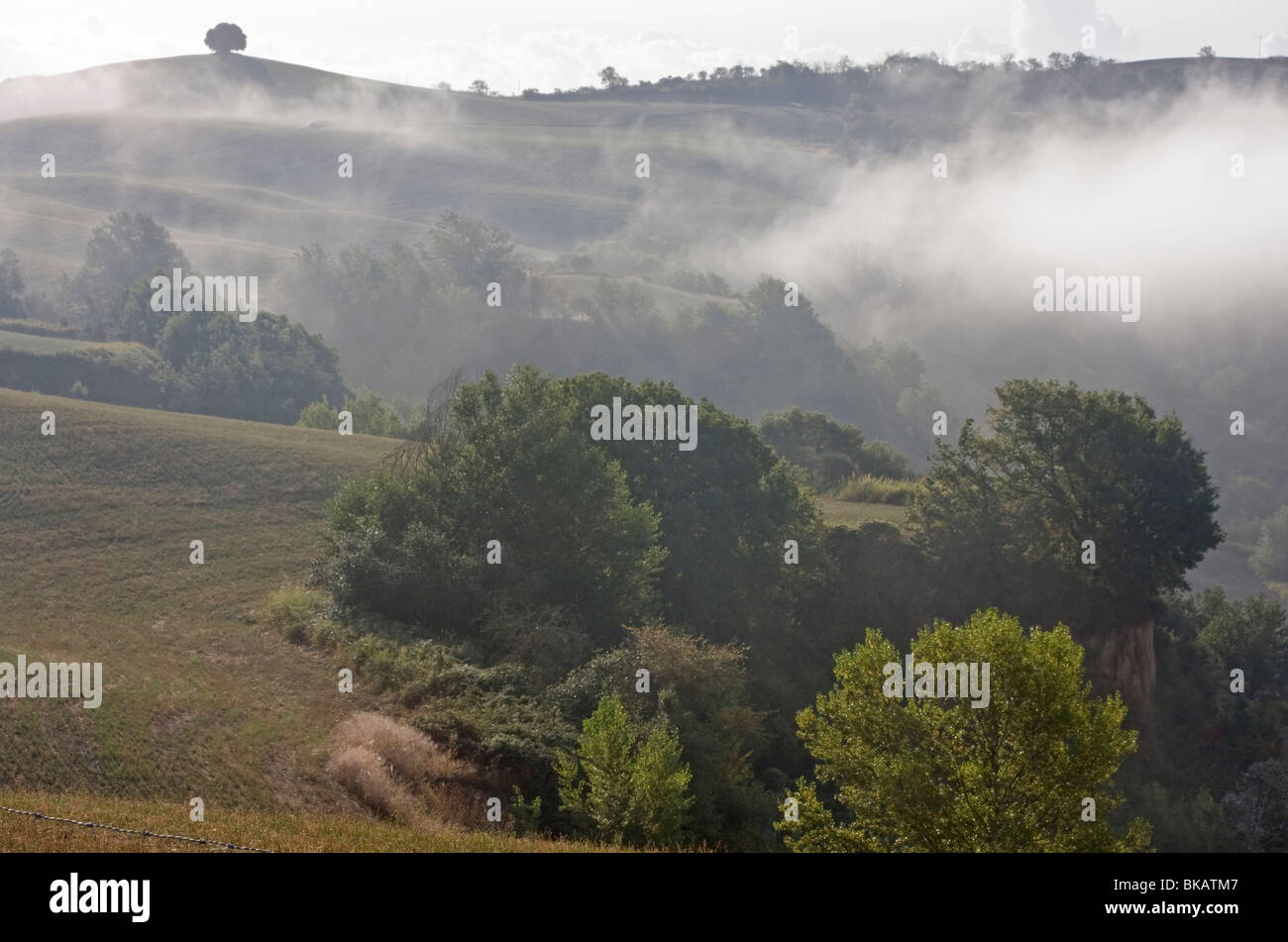 Early morning fog at Tuscany, Italy Stock Photo