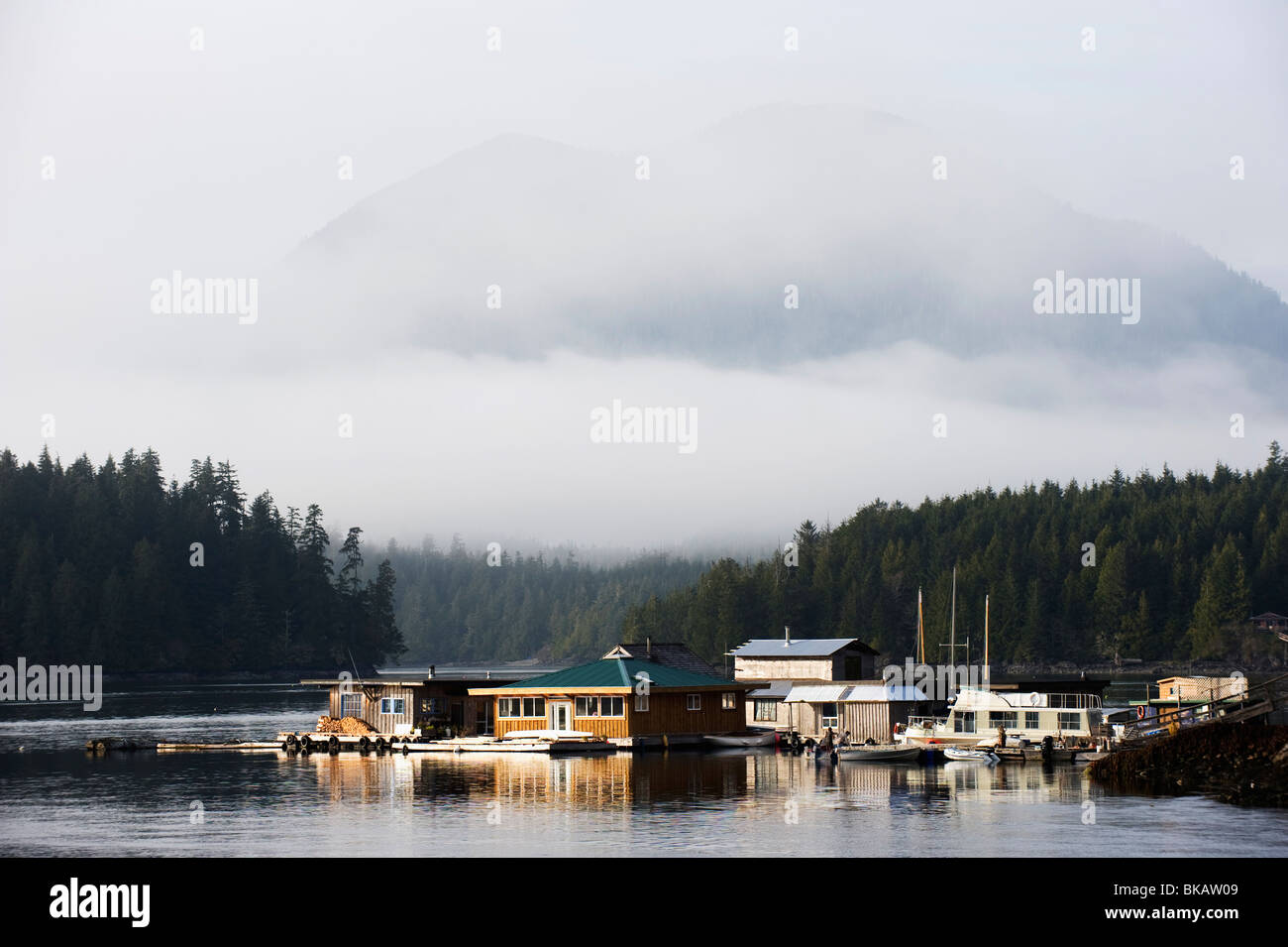 Tofino Pacific Rim National Park Reserve, Vancouver Island, British Columbia, Canada Stock Photo