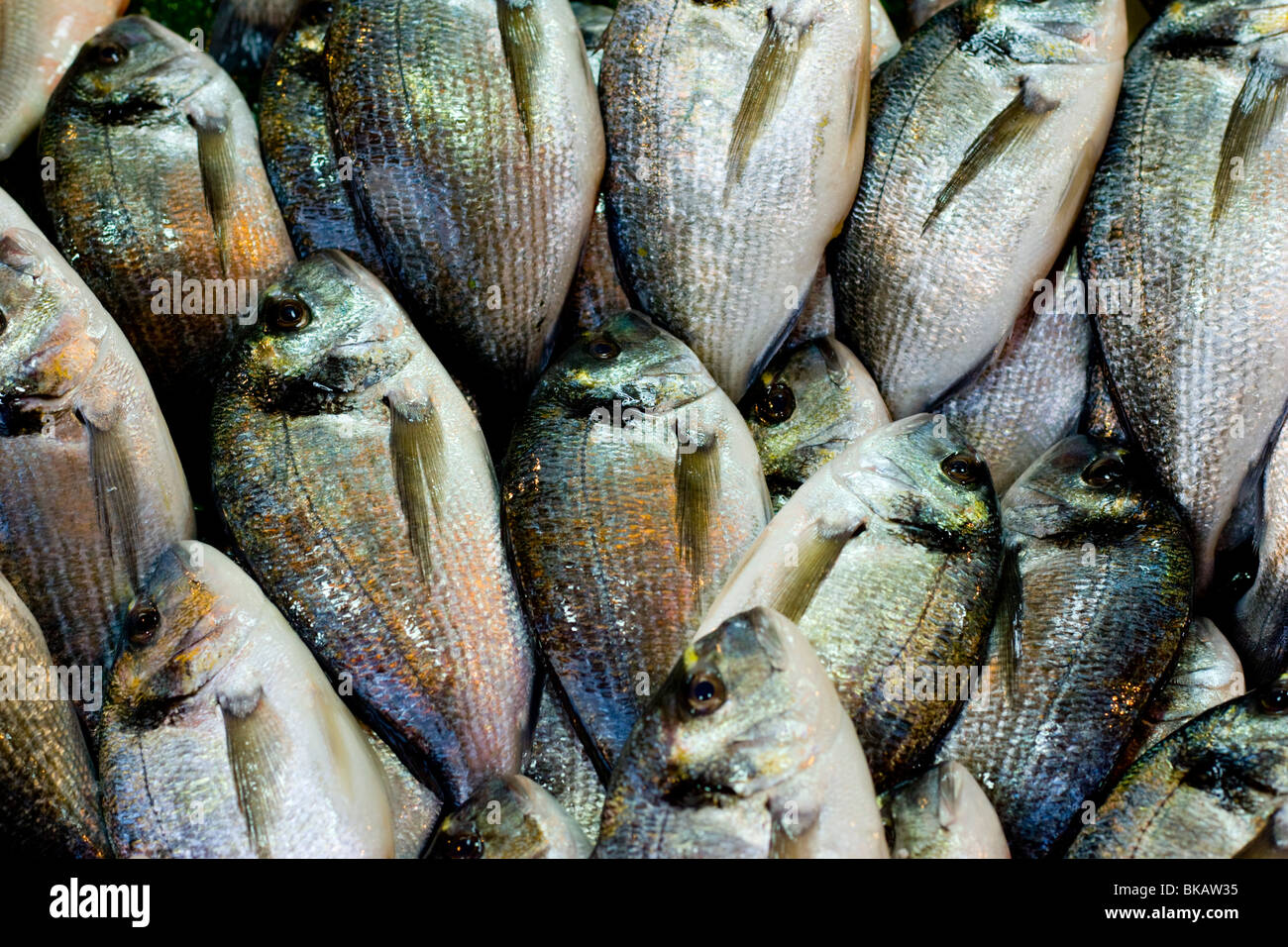 Fish for sale at a market in Istanbul Stock Photo