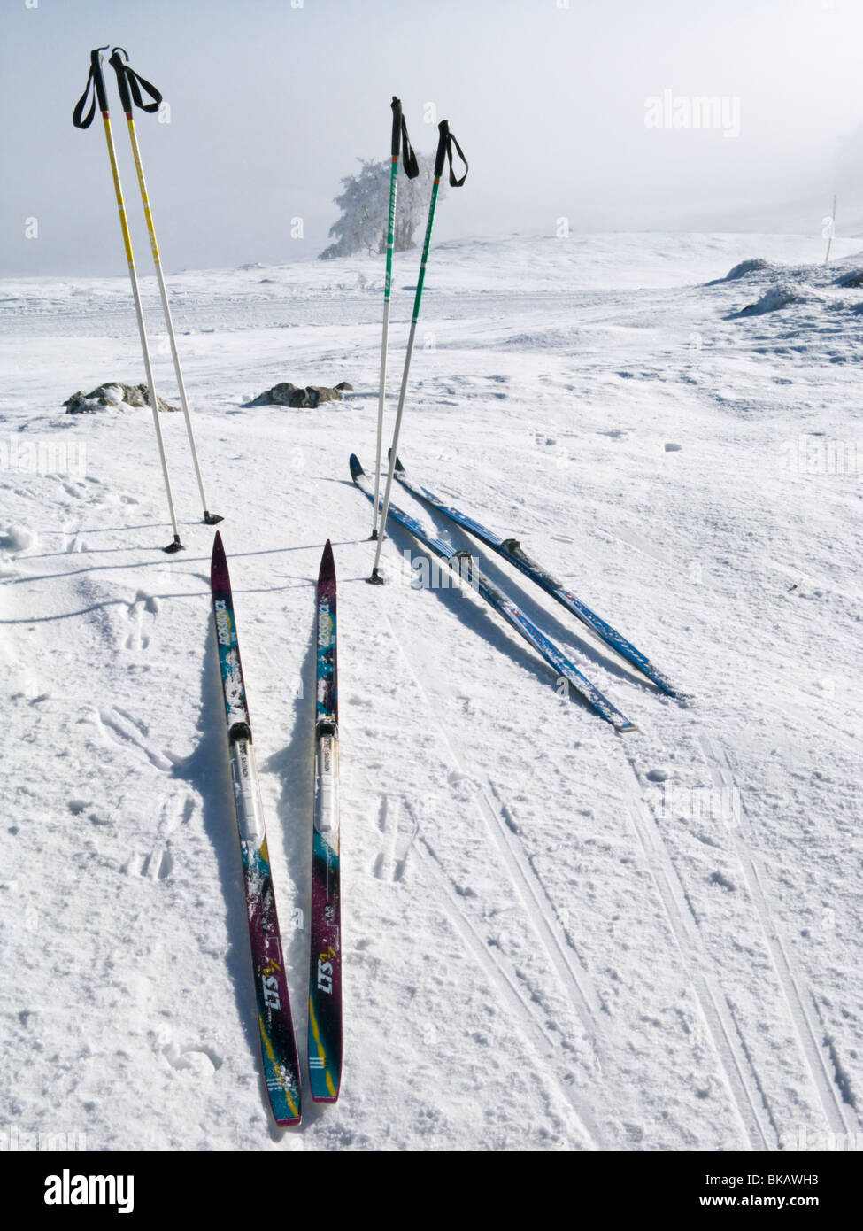 Cross country skis stand in snow in the French Alpine resort of Plateau