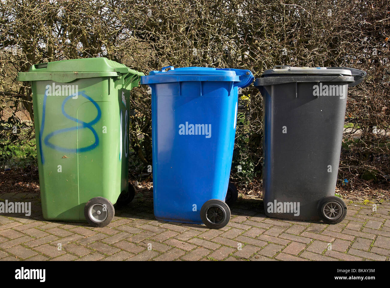 Three wheelie bins green blue and black for domestic refuse collection