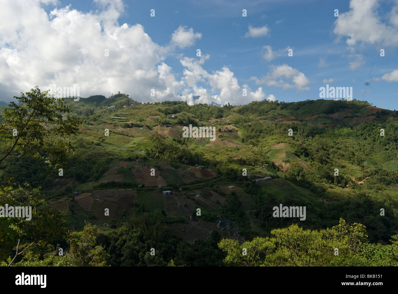 Small scale crop farms on hill side, Sabah, Borneo, East Malaysia. Stock Photo