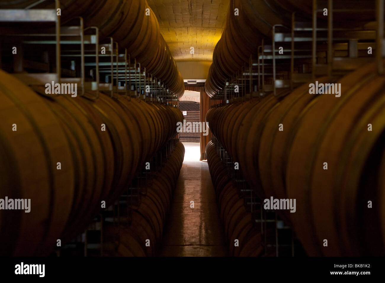 Wine cellar inside Valentin Bianchi winery in San Rafael, Mendoza, Argentina Stock Photo