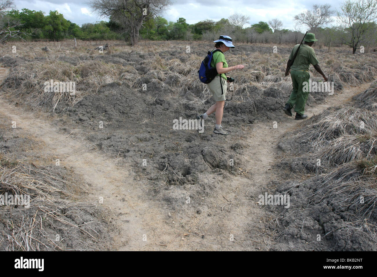 Safari hike ranger game trail Selous River reserve Tanzania Stock Photo Alamy