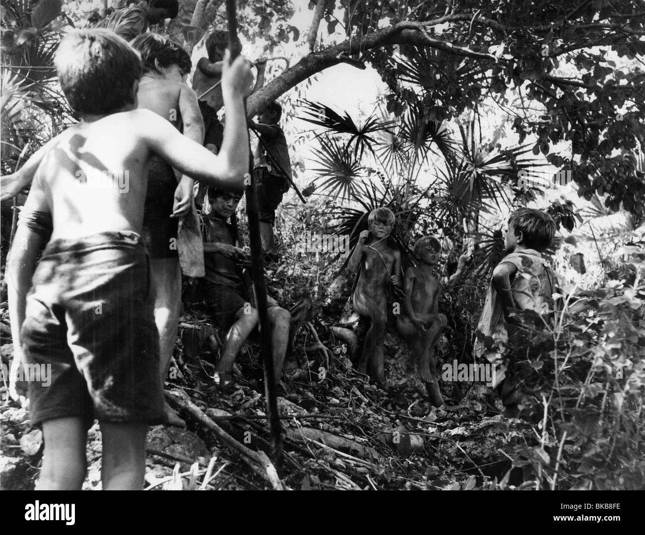 Lord Of The Flies Stock Photos Amp Lord Of The Flies Stock