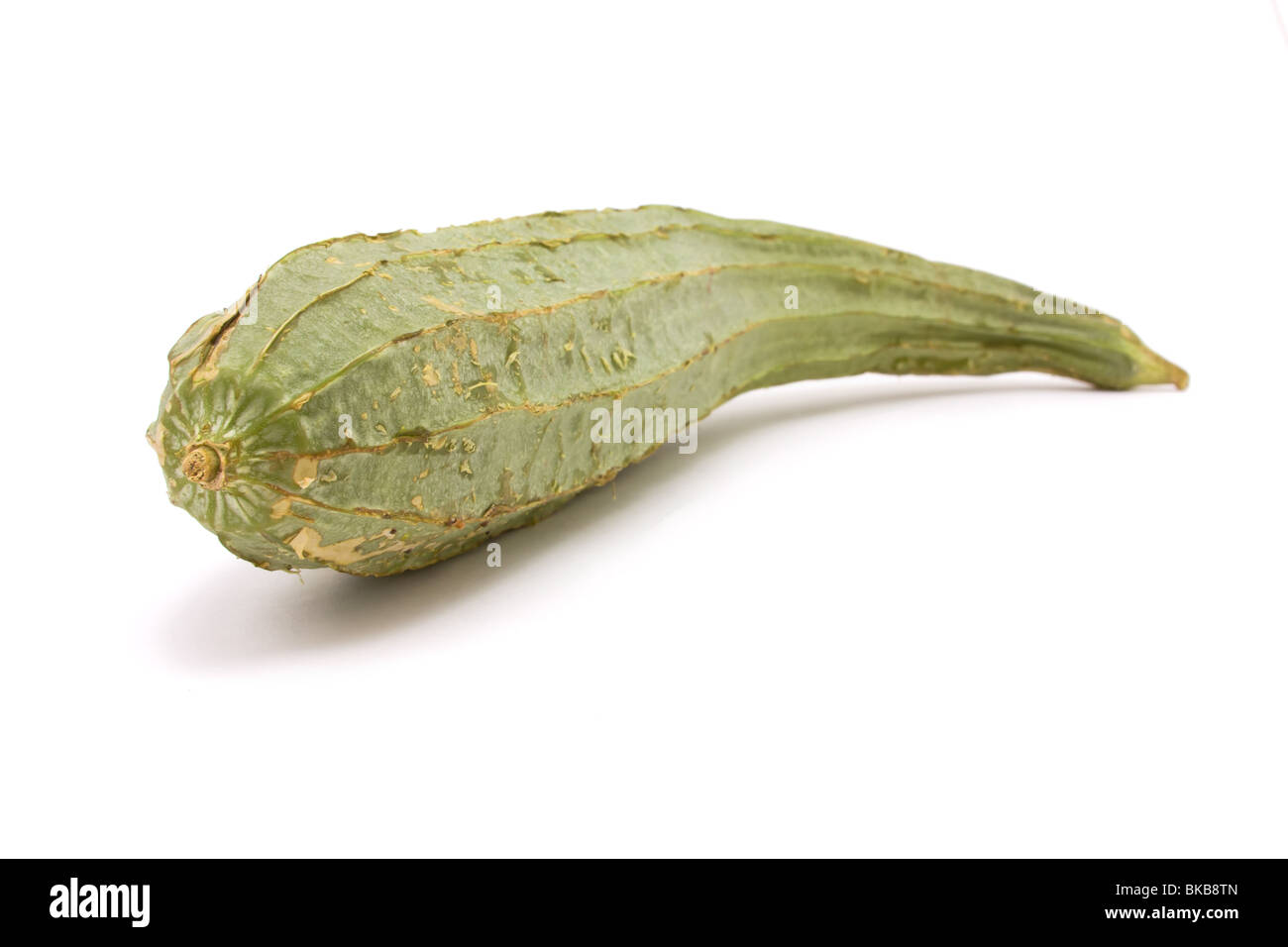 Raw Luffa Squash or Touria used in asian cooking or dried out to scrub your back. Stock Photo
