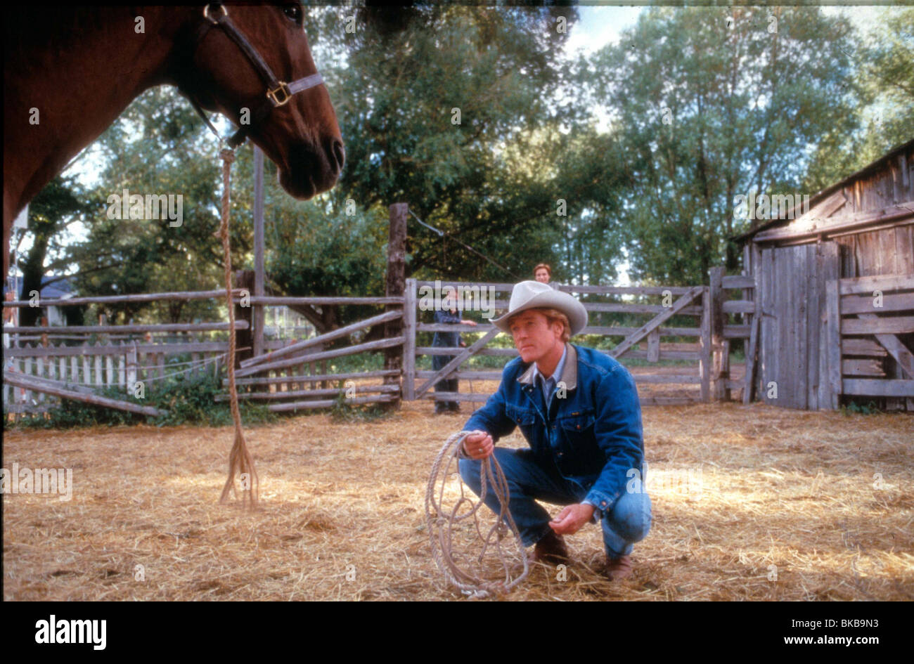 THE HORSE WHISPERER (1998) ROBERT REDFORD HRWH 004 Stock Photo Alamy