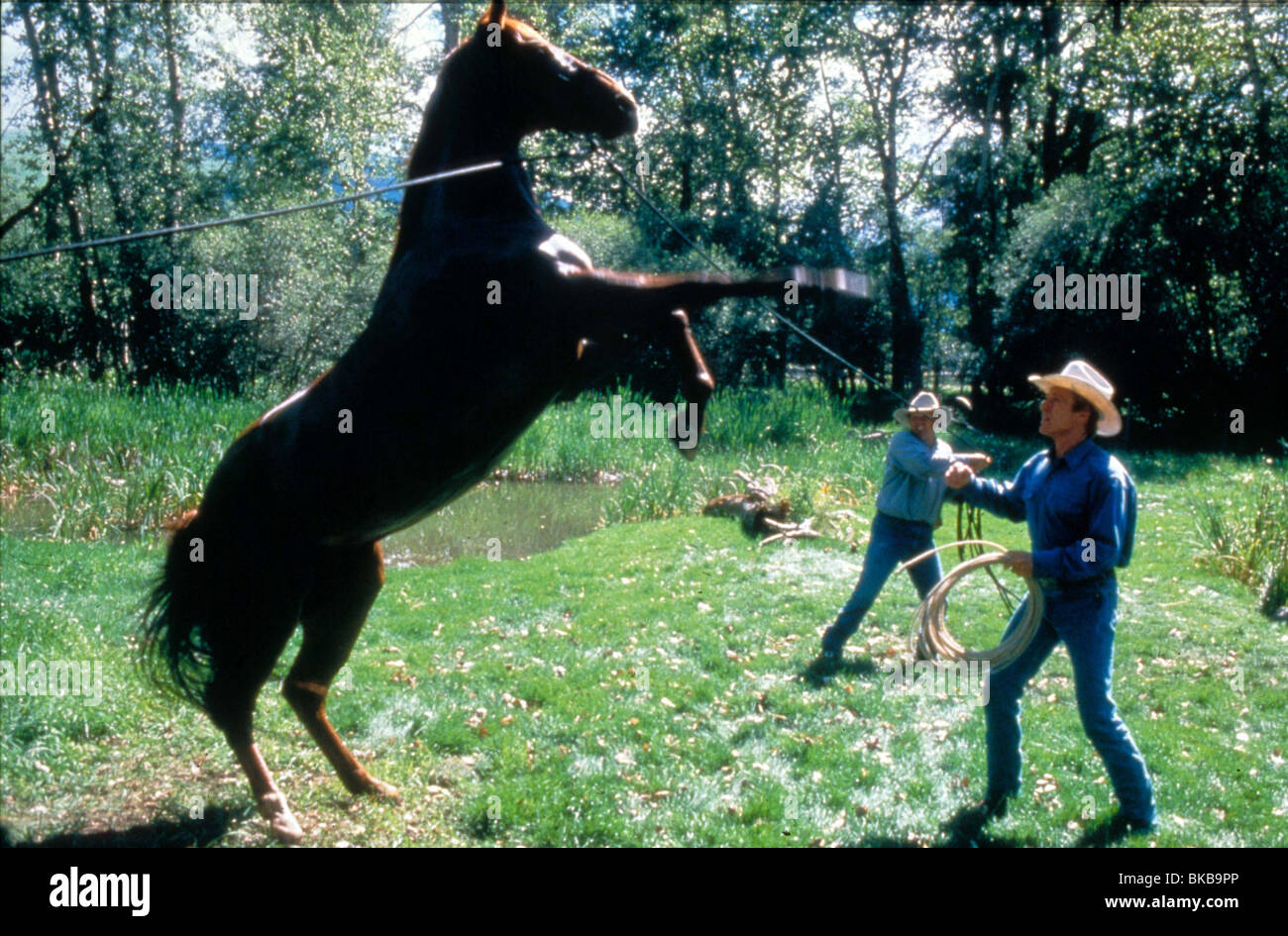 THE HORSE WHISPERER ROBERT REDFORD HRWH 098 Stock Photo Alamy
