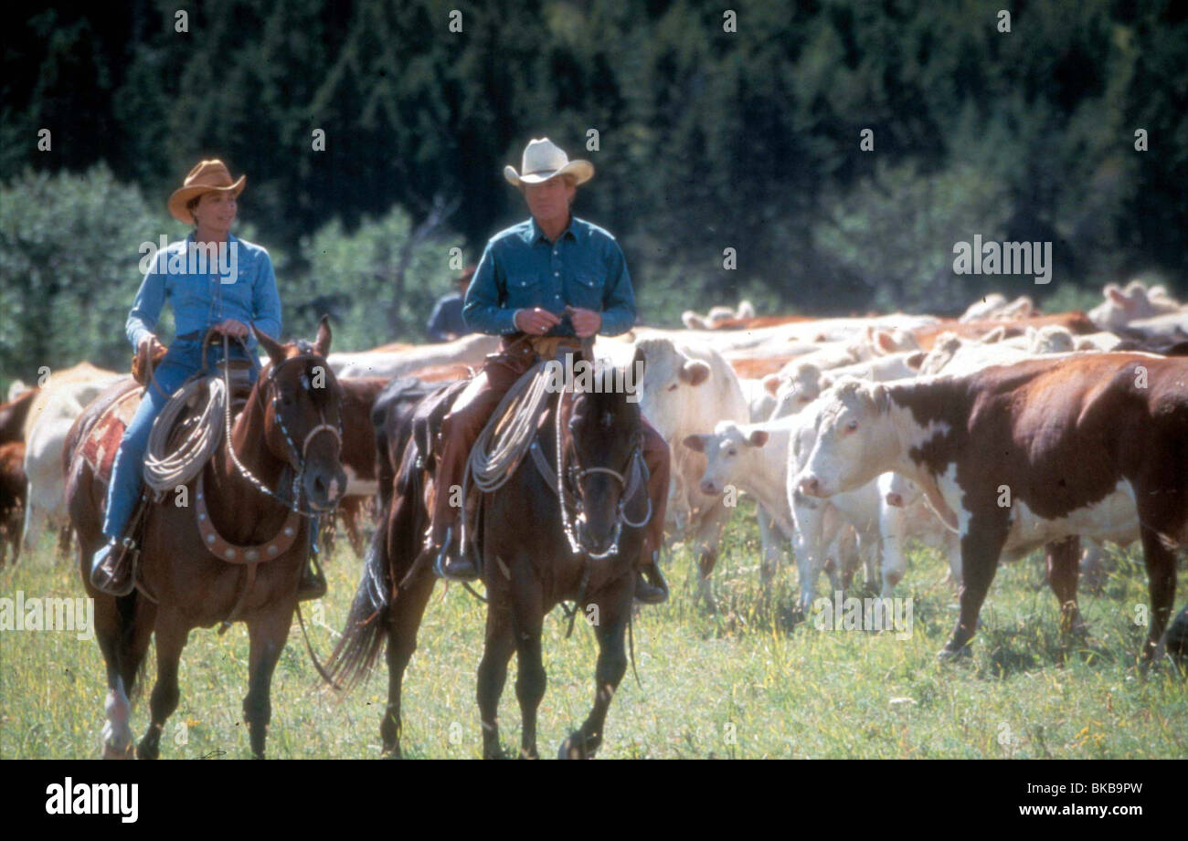 THE HORSE WHISPERER KRISTIN SCOTT THOMAS,ROBERT REDFORD HRWH 099 Stock Photo Alamy