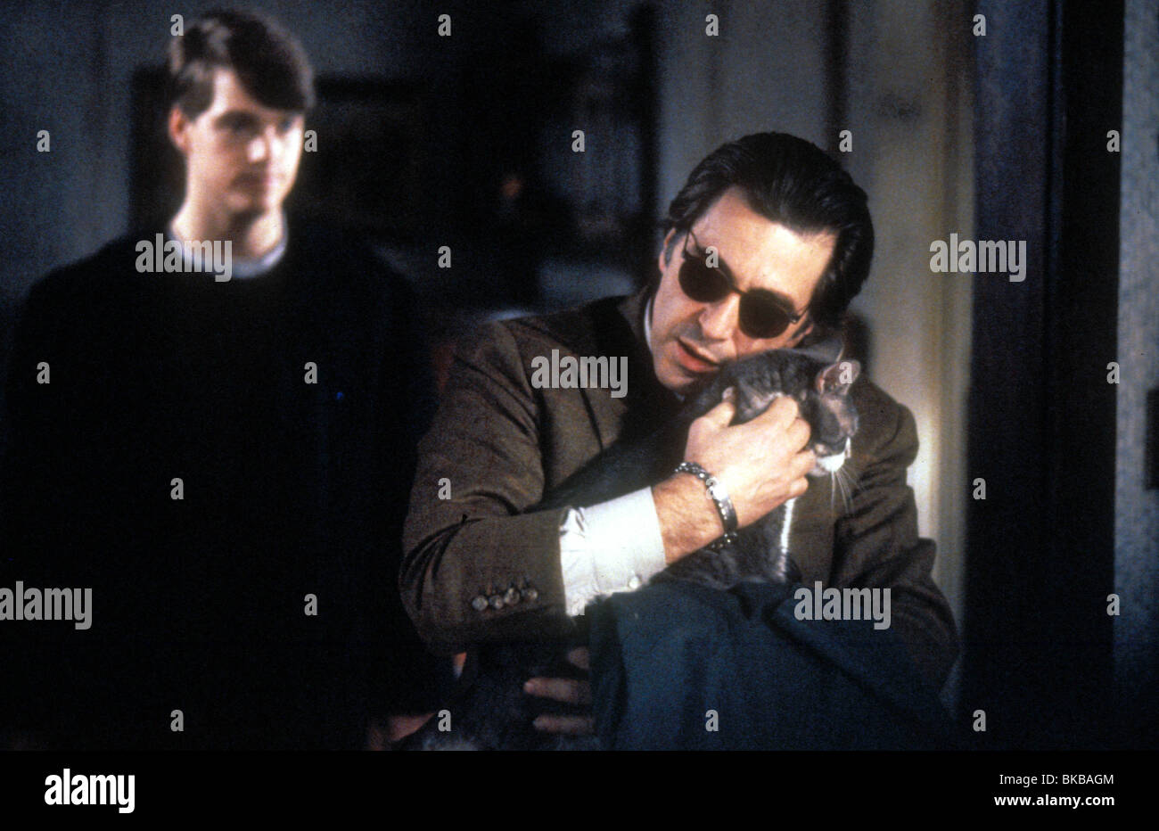 SCENT OF A WOMAN (1992) CHRIS O'DONNELL, AL PACINO SCW 081 Stock Photo