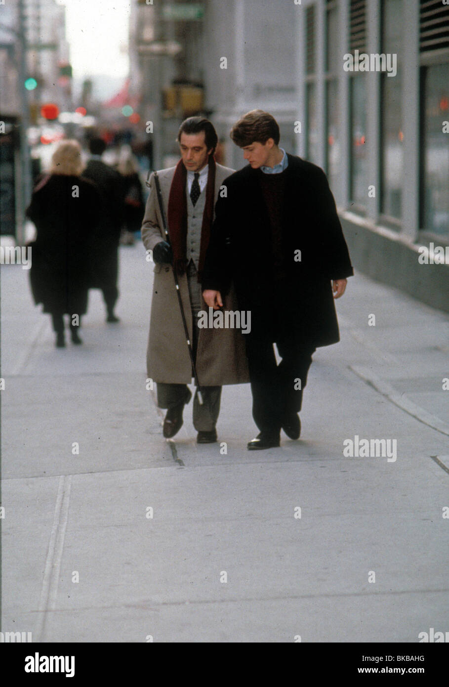 SCENT OF A WOMAN (1992) AL PACINO, CHRIS O'DONNELL SCW 086 Stock Photo