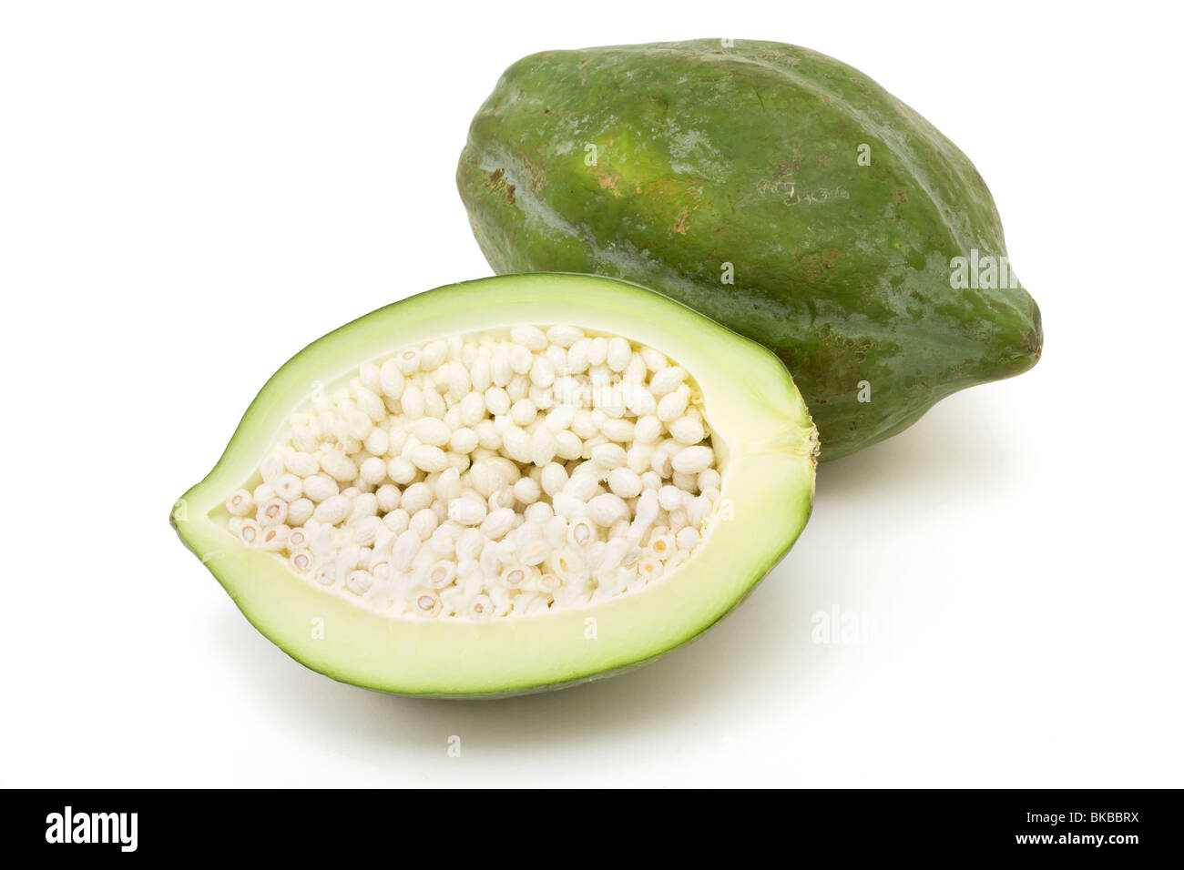 Green Papaya popular in Thai cooking and salads against white background. Stock Photo