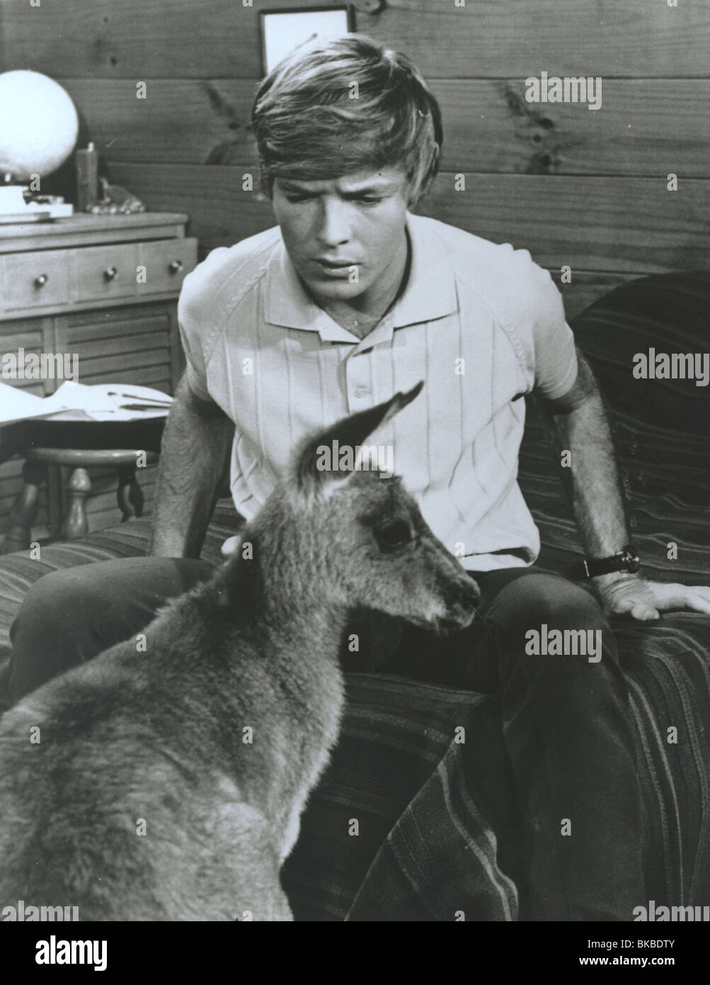 Skippy (tv) ken james hires stock photography and images Alamy