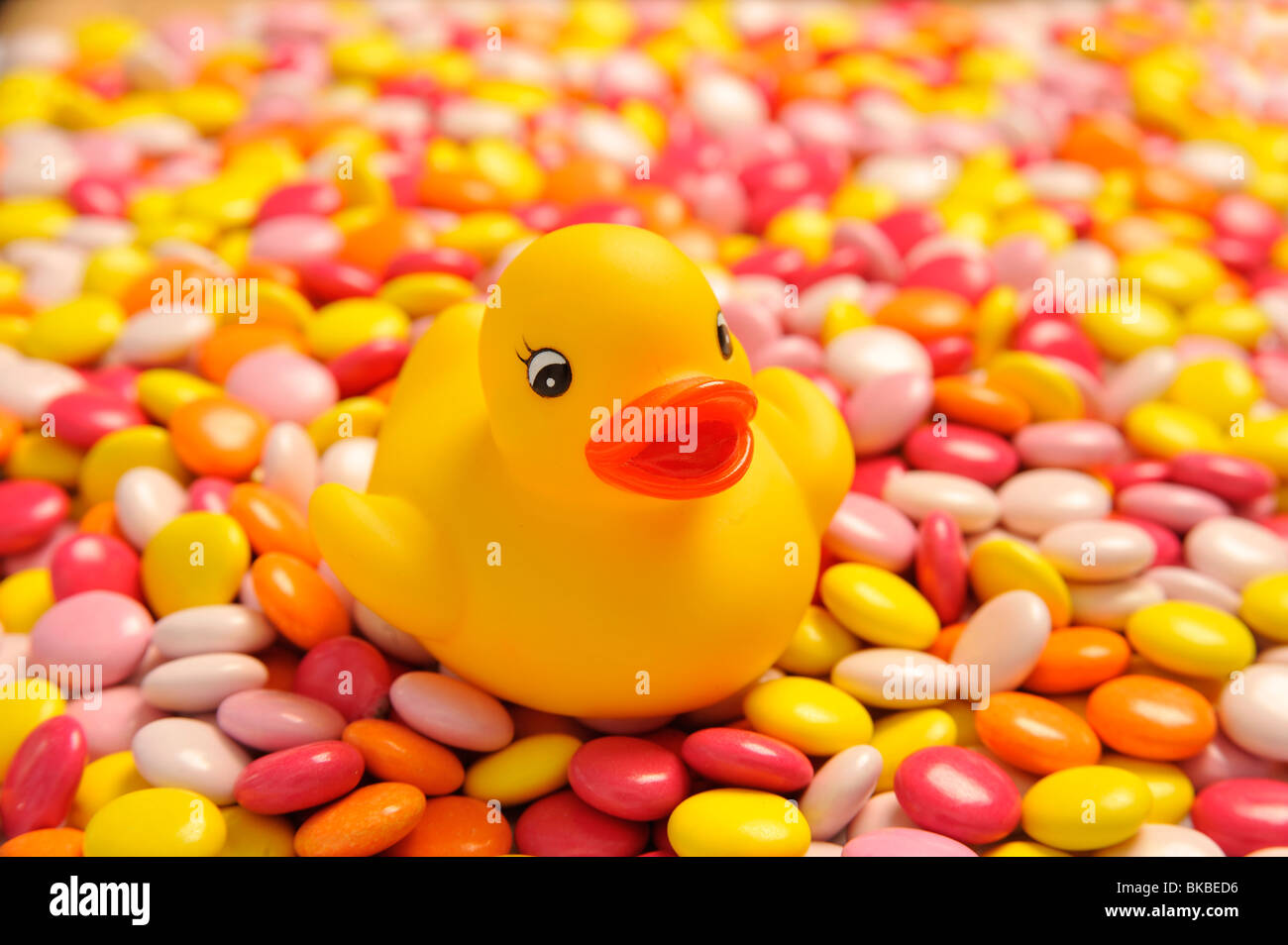 Rubber Duck on Smarties Stock Photo