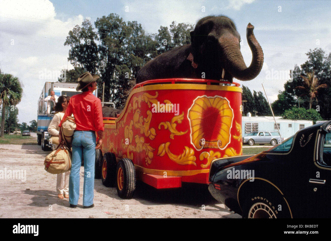 SMOKEY AND THE BANDIT II (1980) DOM DELUISE, SALLY FIELD, BURT REYNOLDS ELEPHANT SB2 004 Stock Photo