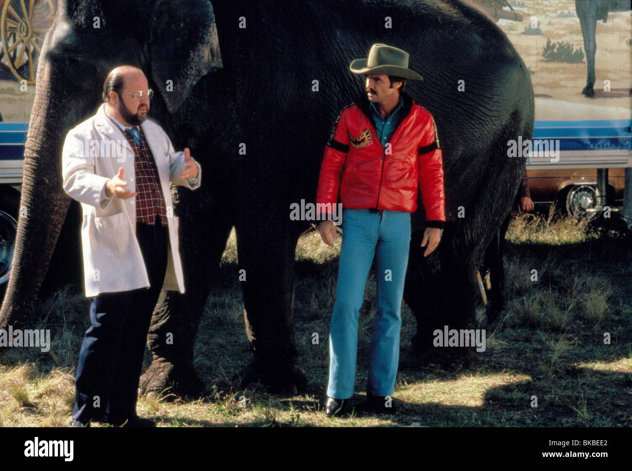 SMOKEY AND THE BANDIT II (1980) DOM DELUISE, BURT REYNOLDS ELEPHANT, COWBOY HAT, DOCTOR SB2 006 Stock Photo