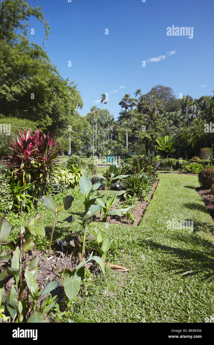 Students' garden, Peradeniya Botanic Gardens, Kandy, Sri Lanka Stock ...