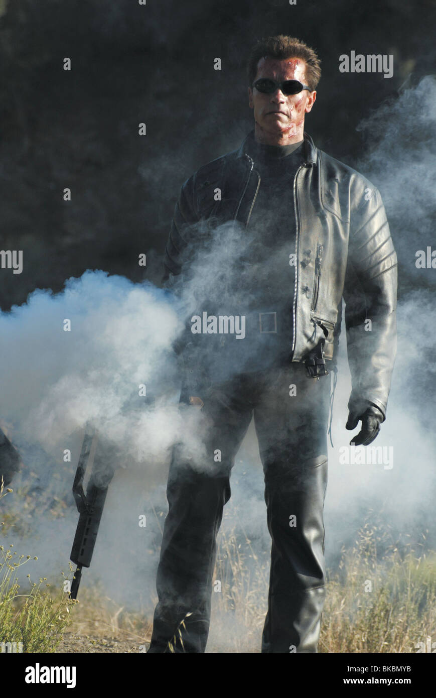 TERMINATOR 3: RISE OF THE MACHINES (2003) T3 (ALT) ARNOLD ...