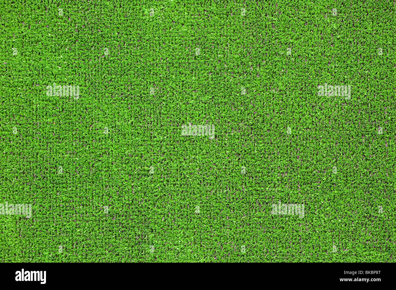 A green artificial grass for sports fields, covering, gardens. Plastic