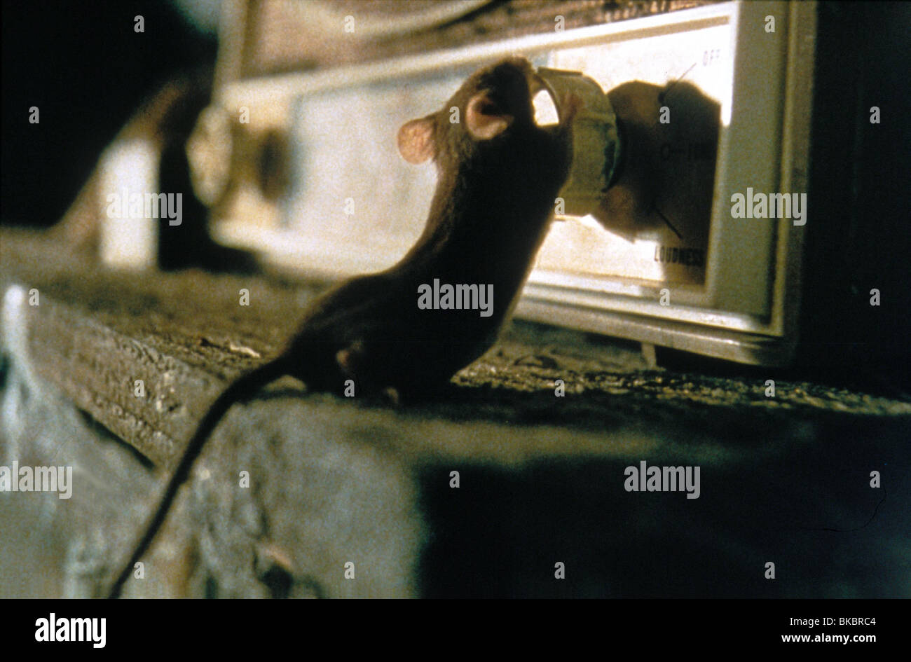 Mouse Hunt 1997 Stock Photo Alamy