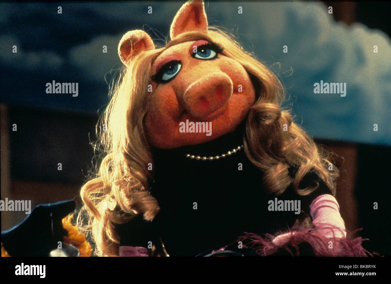 Miss piggy tv hi-res stock photography and images - Alamy