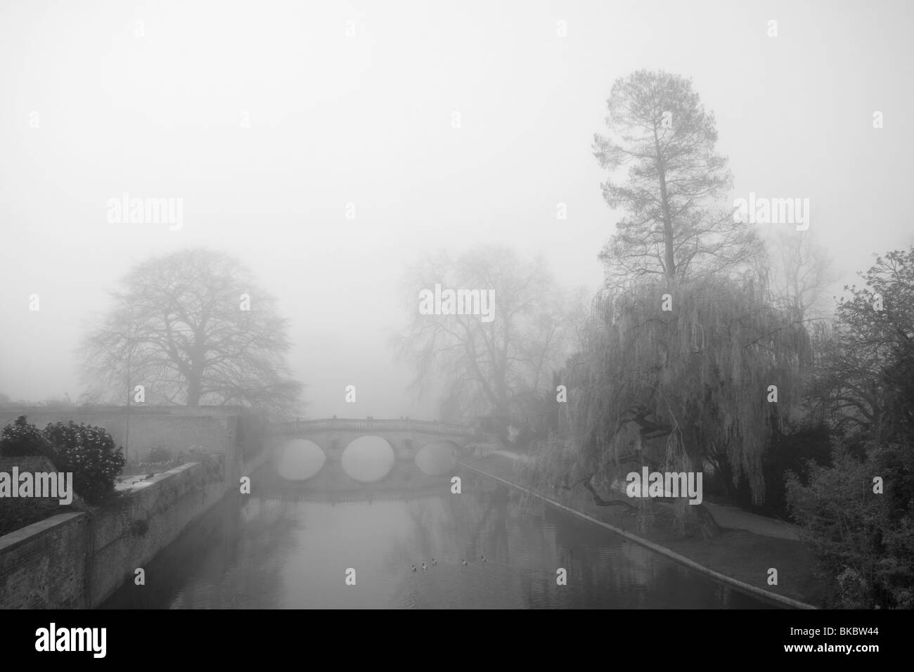 Misty morning on the River Cam, with view towards the bridge of Clare College Stock Photo
