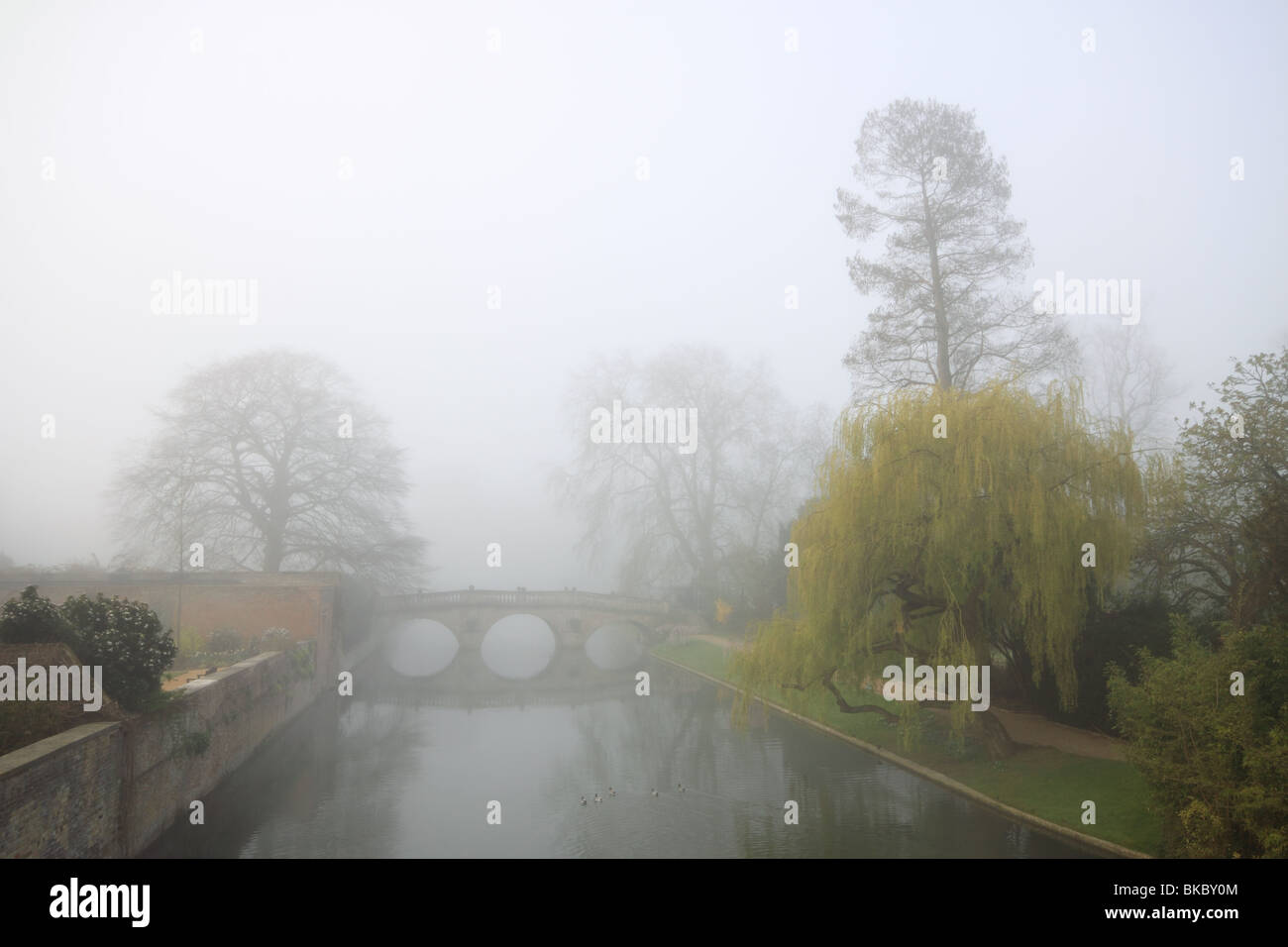 Misty morning on the River Cam, with view towards bridge Stock Photo