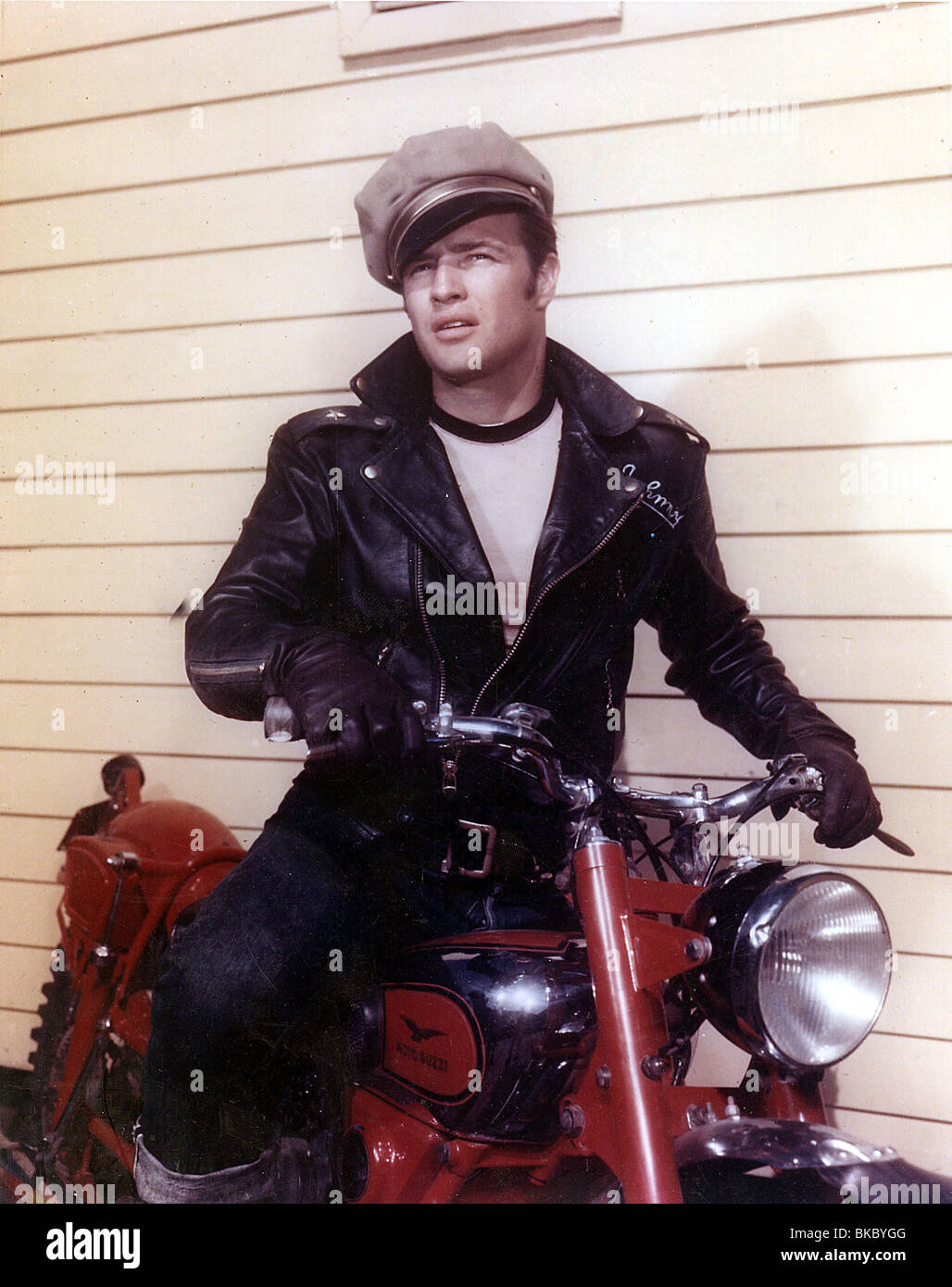 THE WILD ONE MARLON BRANDO WDON 001CP Stock Photo