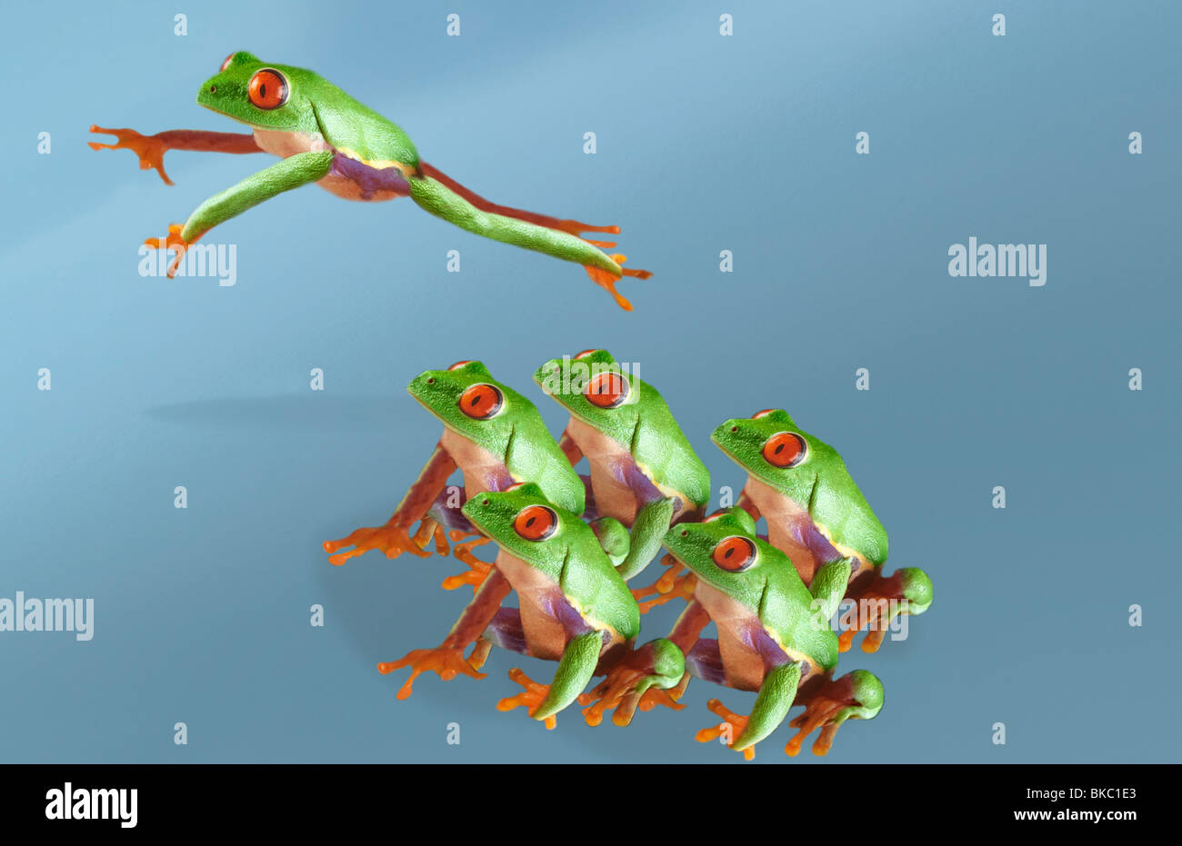 Frogs playing leapfrog Stock Photo