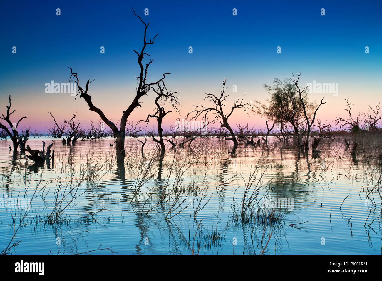 Lake Pamamaroo Stock Photo