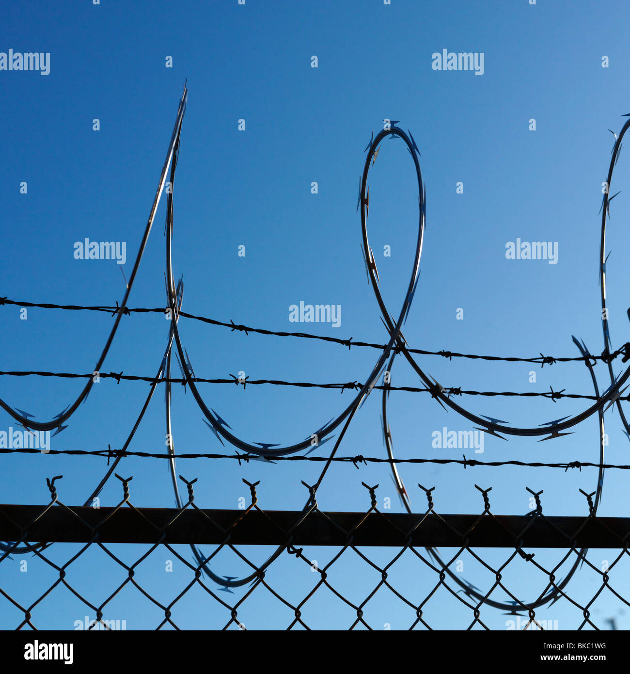 Barbed Wire Fence Stock Photo Alamy