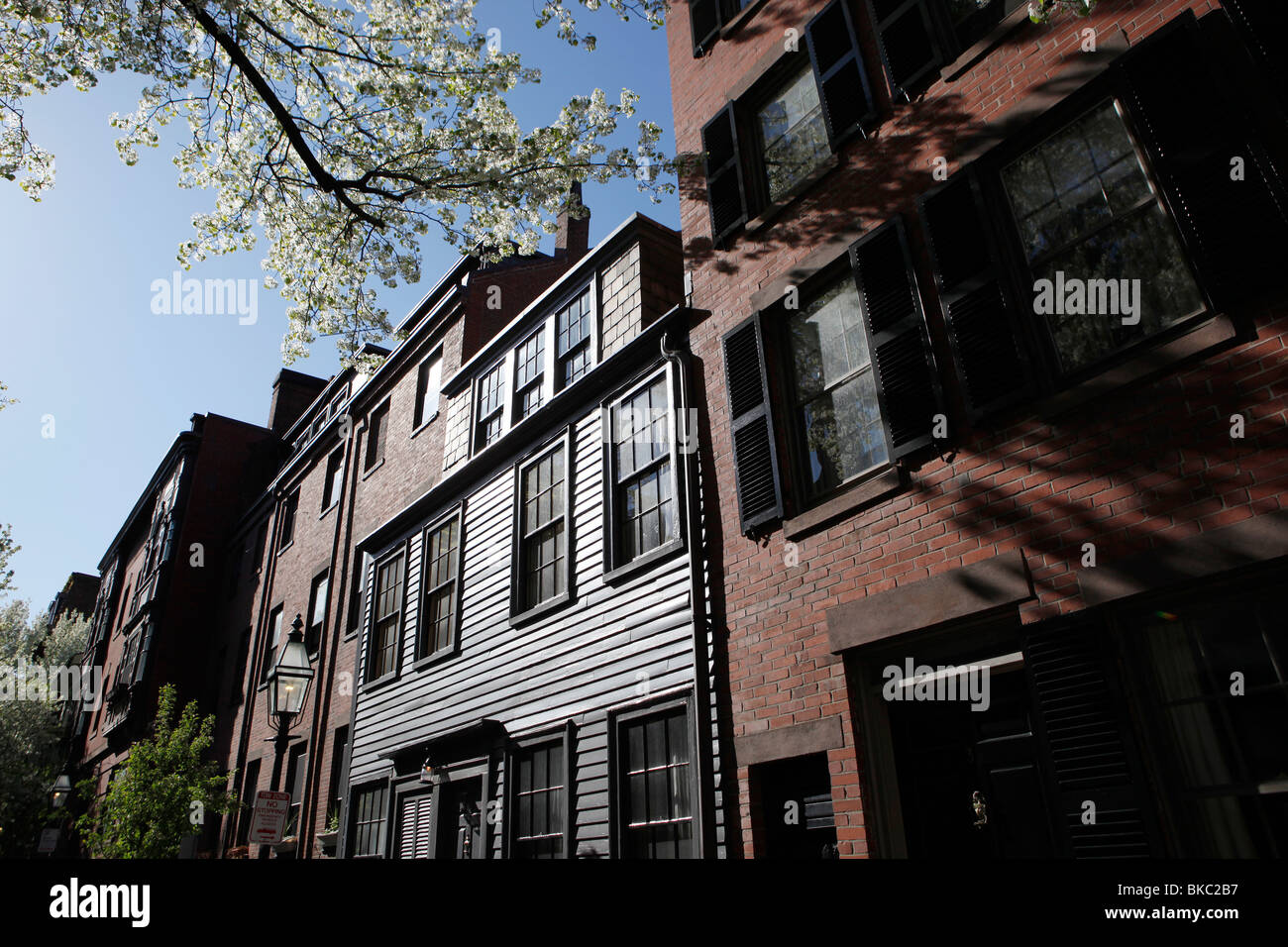 Pinckney hires stock photography and images Alamy