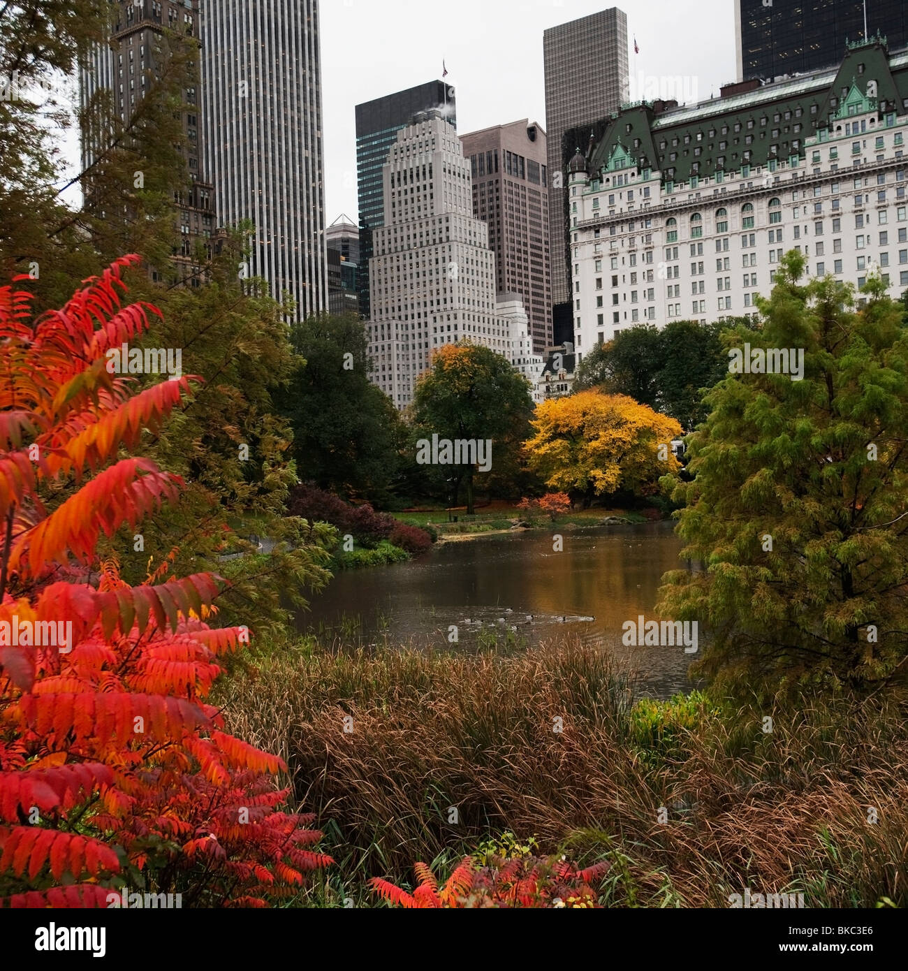 View Of The Buildings On Fifth Avenue From Central Park, New York, United States Of America Stock Photo