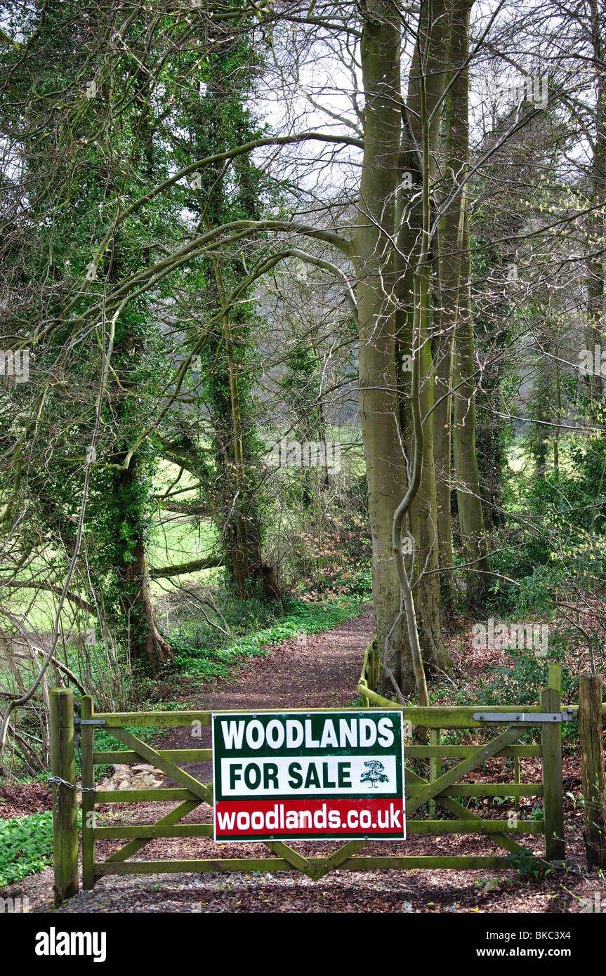 'Woodlands for Sale' sign outside Dursley, Gloucestershire, England