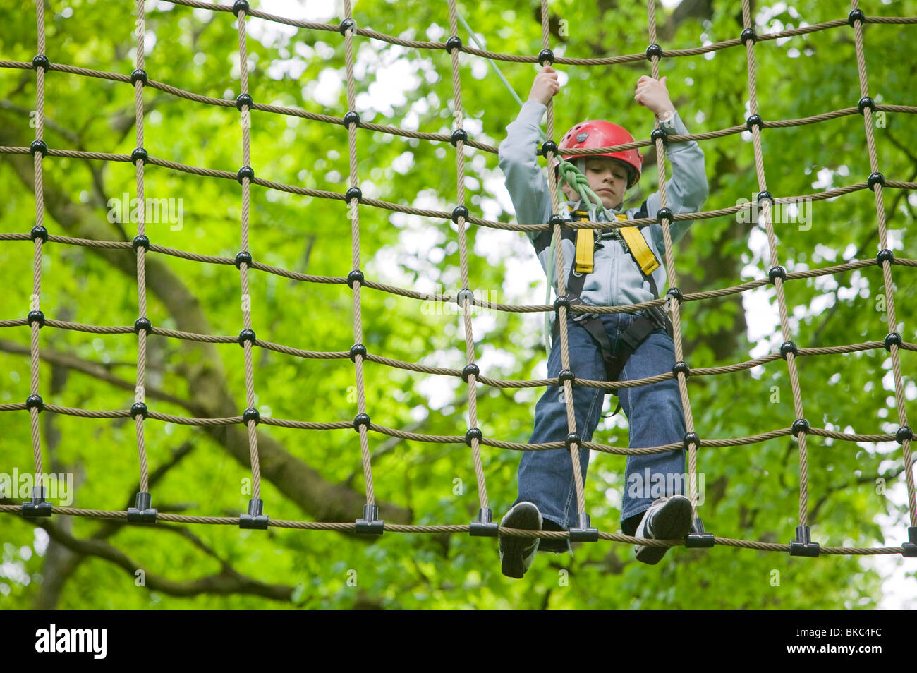 A young boy on a ropes course at Brathay in the Lake District UK Stock ...