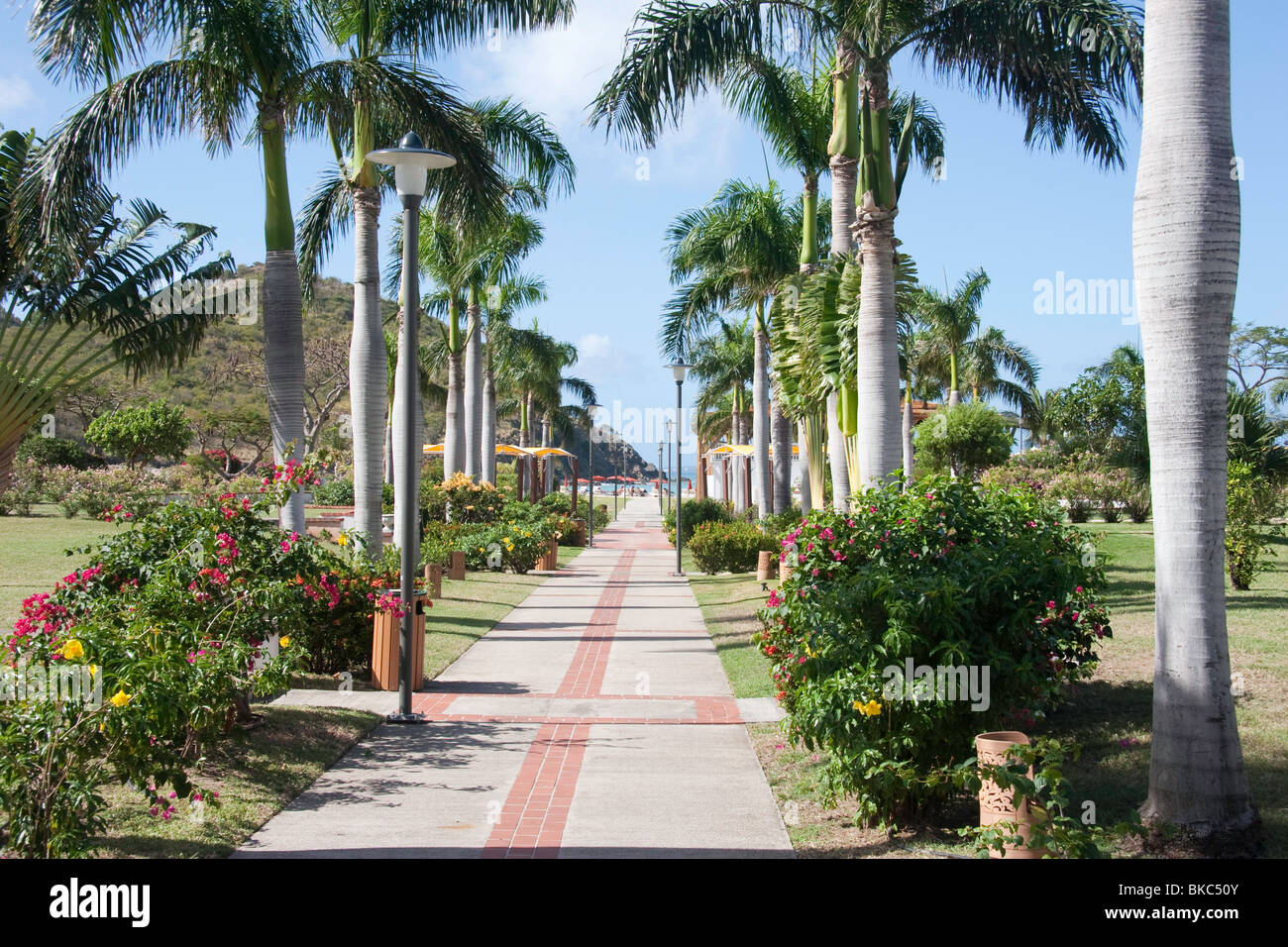 A grand walkway at Anse Marcel, St Martin Stock Photo Alamy