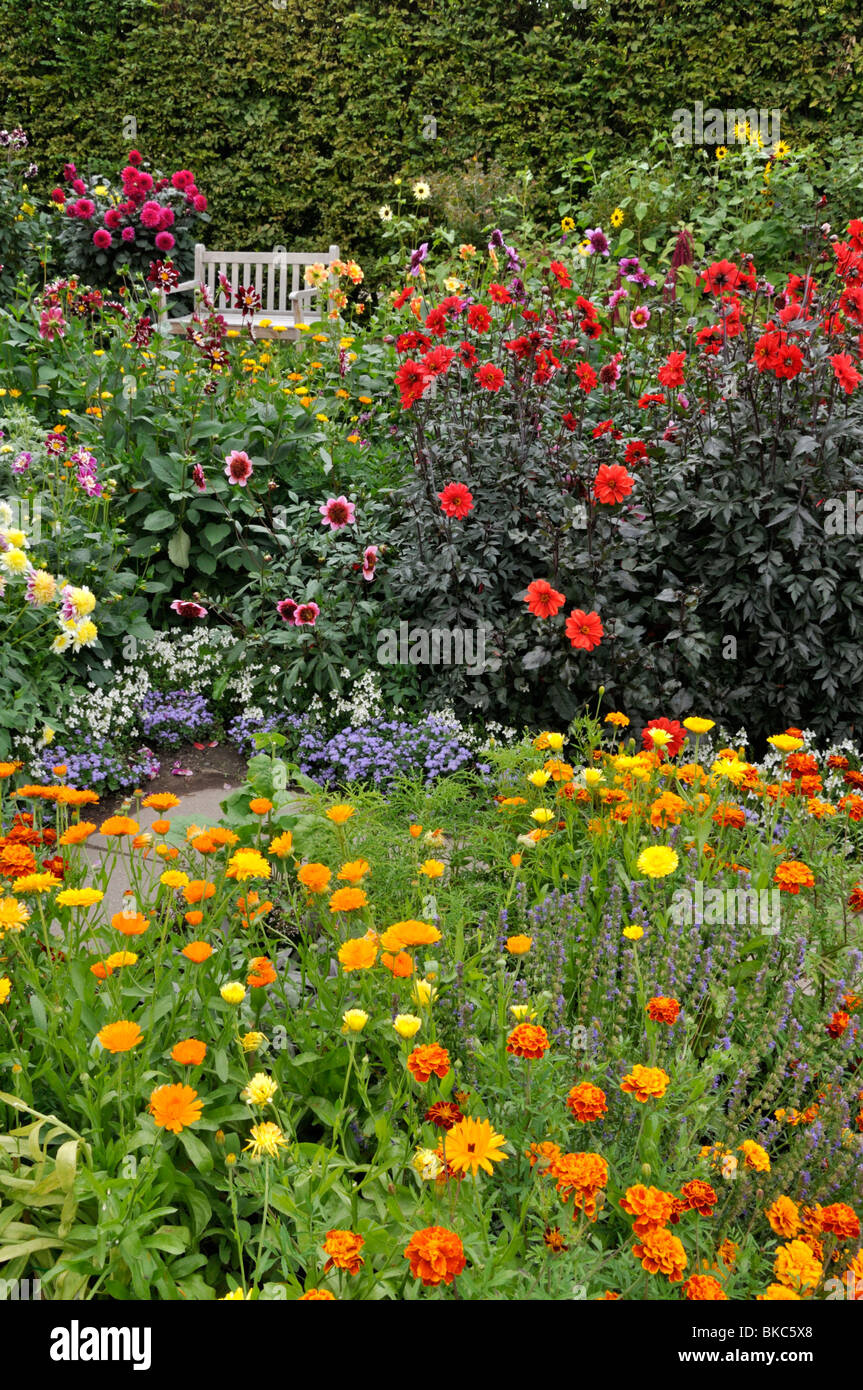 Dahlias (Dahlia), pot marigolds (Calendula officinalis) and marigolds (Tagetes) Stock Photo