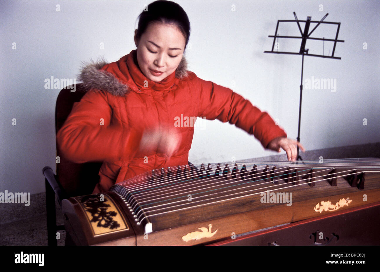 Zhang Lin, 23 plays with one of China’s oldest and noblest musical instruments, the Zheng, similar to Japan's Koto. Stock Photo